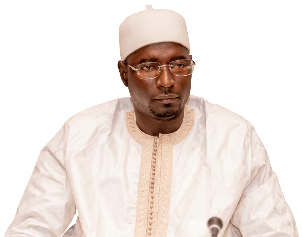 Njie showcases Gambia’s democratic model at summit