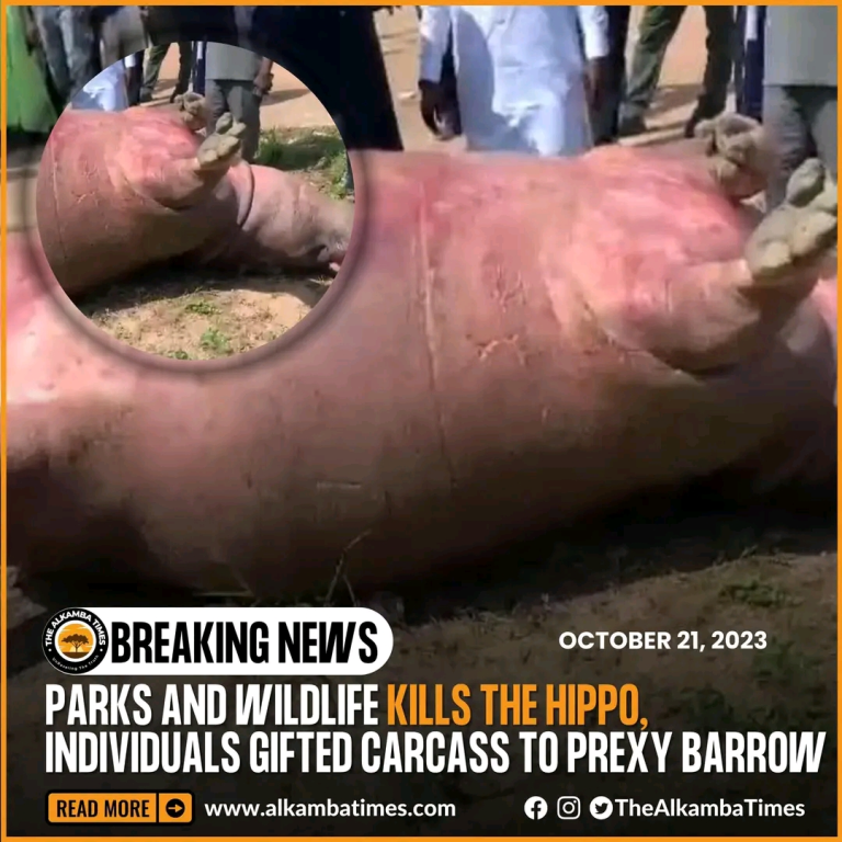 Group condemns killing of hippo donated to President Barrow